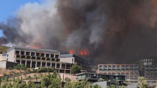 Bodrum'da orman yangını: Bir otel denizden tahliye ediliyor