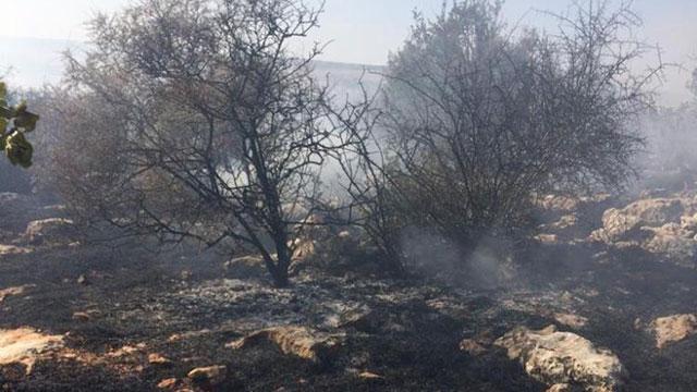 Gaziantepte ormanlık alanda çıkan yangın kontrol altına alındı