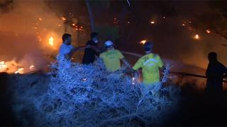 Fedakar orman kahramanları canla başla çalışıyorlar