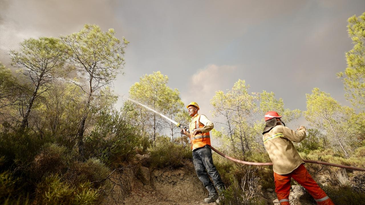 "Hiçbir karşılık beklemeden çalışıyorum"