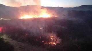 Nallıhan Kuş Cenneti’ndeki yangın kontrol altında