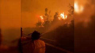 Ormancıların ölümüne mücadelesi kamerada