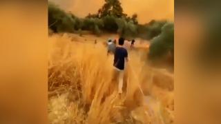 Isparta'da kozalakların etkisiyle alevler böyle yayıldı