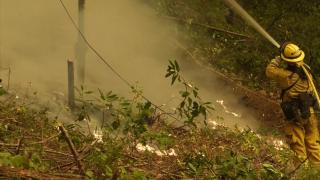 Kaliforniya'daki orman yangını yeniden büyümeye başladı