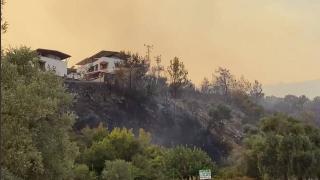 Milas'ta alevlerle mücadele sürüyor