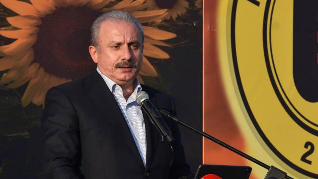"Yanan her ağaç, kaybettiğimiz her can yüreğimizi çok acıttı"