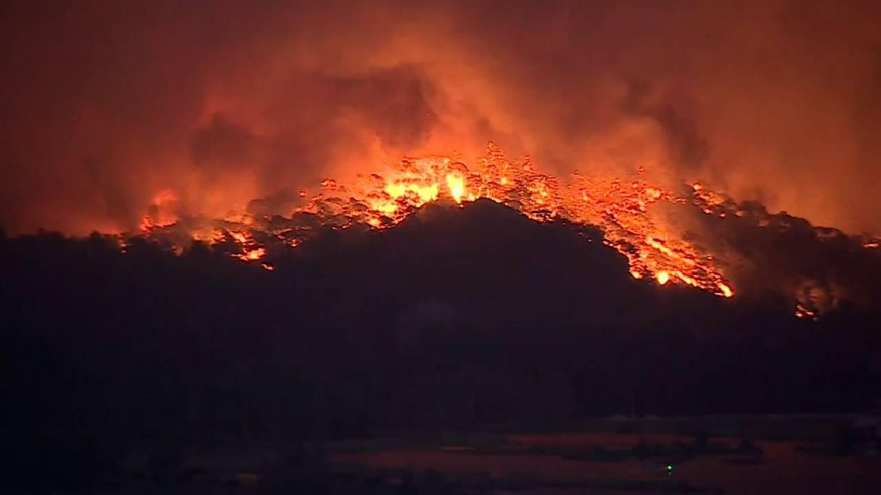 TÜKDES: Orman yangınlarını fırsata çevirenleri şikayet edin