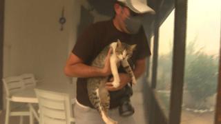 Yangında evin balkonunda mahsur kalan kediyi gazeteciler kurtardı