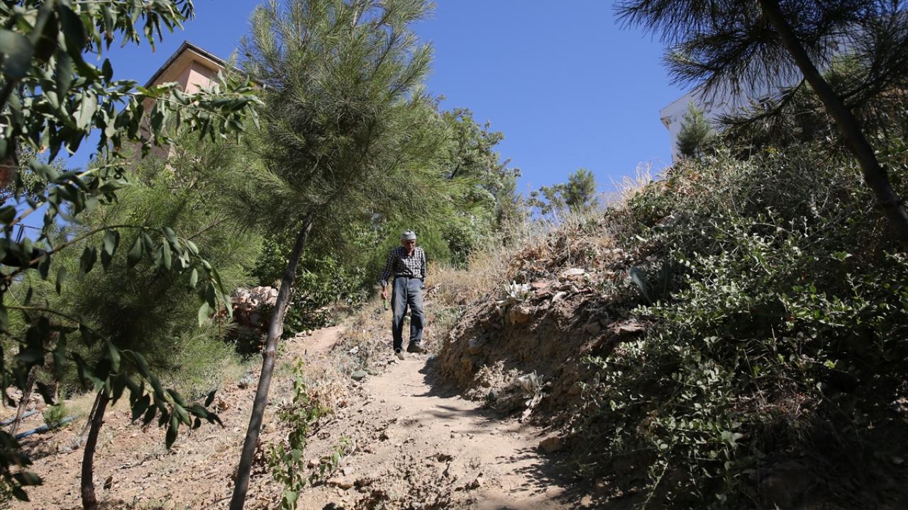 "Orman yanınca bizim ciğerlerimiz yanıyor"