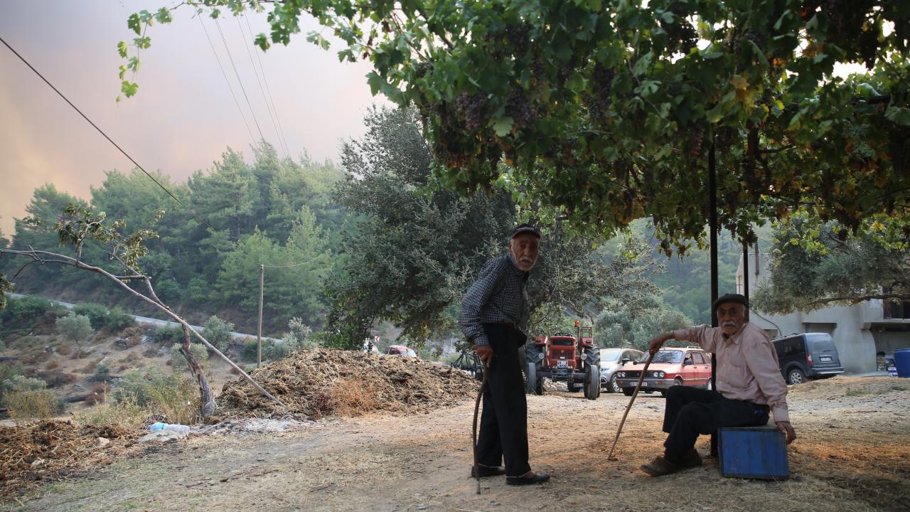 "Hayvanlarımı bölgeden uzaklaştırmaya çalışıyorum"