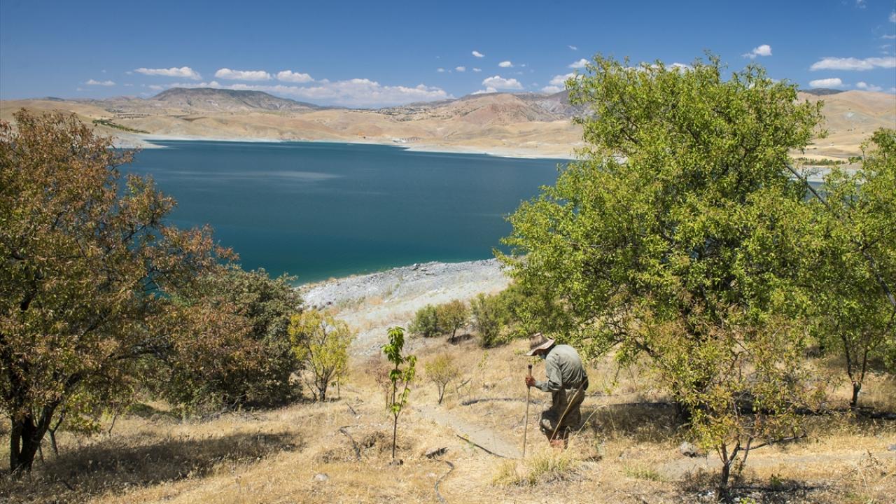 "Dört çocuğum, 4 bin de ağacım var ve ağaçlar da benim çocuklarımdır"