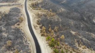 Manavgat'taki yangında zarar gören yerler böyle görüntülendi