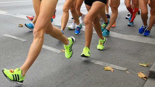 Şanlıurfalı milli sporcular ödüllendirildi