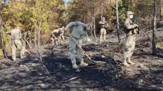 Mehmetçik'in mücadeleye desteği sürüyor