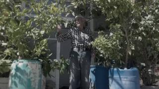 Şeyhmus dede kıraç araziyi ormana çevirdi