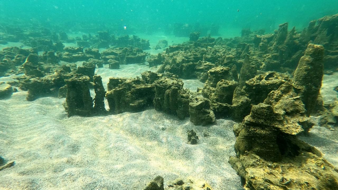 "3 farklı mikrobiyalit tespit ettik"