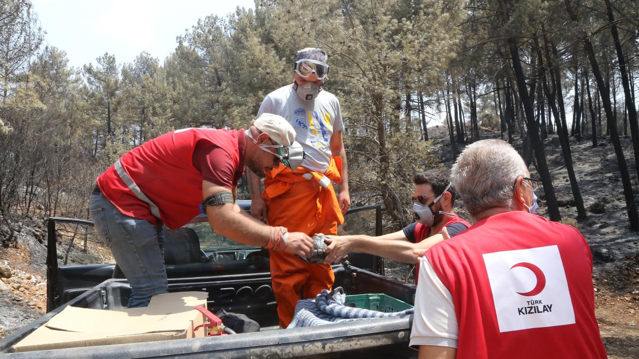 "Yangınlar nedeniyle Türk Kızılay`ına gönüllü oldum"