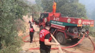 Afet kriminal ekipleri yangınların sebebini araştırıyor