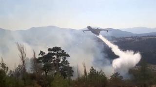 Kaş'ta orman yangını çıktı