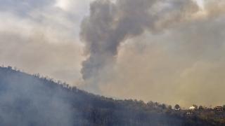 Cezayir'in 14 vilayetinde çıkan yangınlarda 4 kişi öldü