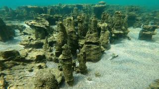 Van Gölü'nde yeni mikrobiyalitler keşfedildi