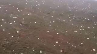 Trabzon'un Taşlı Yaylası'nda ceviz büyüklüğünde dolu yağdı