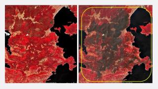 Akdeniz ve Ege'deki yangınların etkisi uydu fotoğraflarında