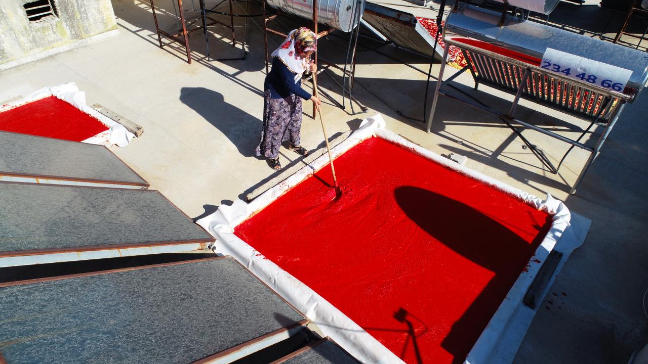 “Küresel ısınmadan dolayı hepsi bir anda kızardı”