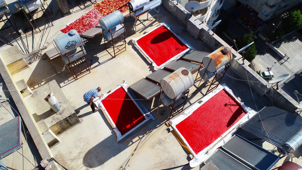 “Her sene salçamızı yapıyoruz”