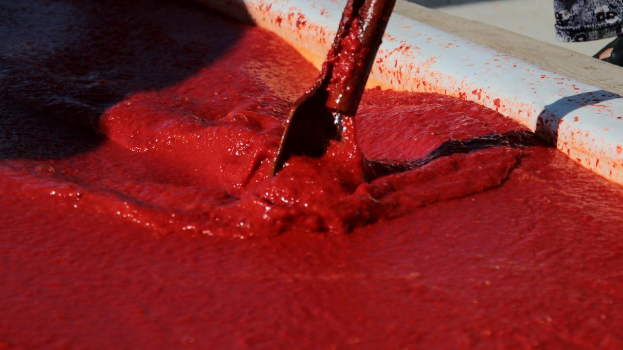 “Fiyatlar fena değil”