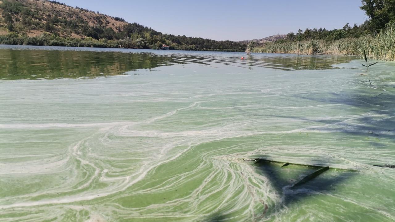 "Oltayı attığım zaman simsiyah su fışkırıyor"