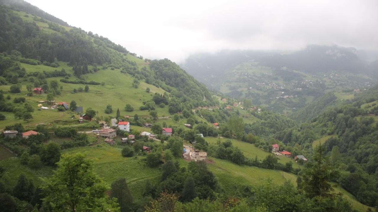 GİRESUN - YÜZDE 78,1