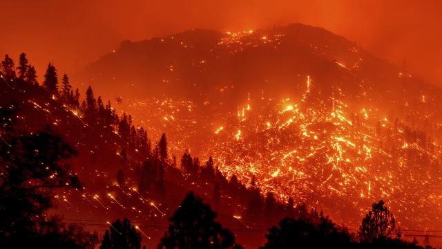 Californiadaki orman yangınlarının kaynağı ortaya çıktı
