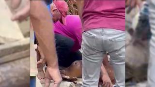 Afetin vurduğu ‘canların’ mucize kurtuluşu