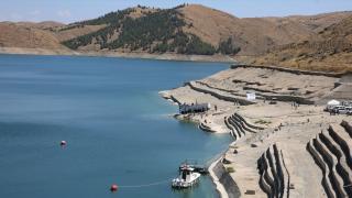 Baraj ve göletlere 12 milyon yavru sazan