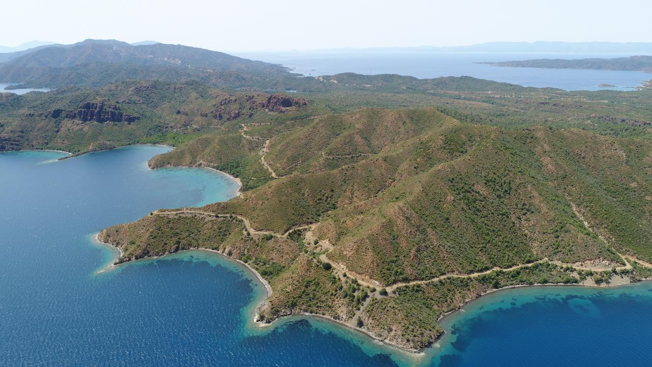 "Yanan bölgelerin, 3-5 yılda tamamen yeşil bir örtüye dönüşmesi sağlanacaktır"