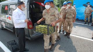 Elmacı Dede'den Mehmetçiğe üzüm sürprizi