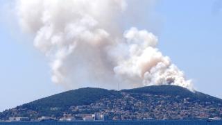 Heybeliada'da ormanlık alanda yangın