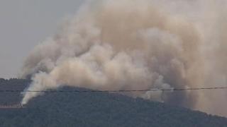 Heybeliada'daki yangına müdahale ediliyor