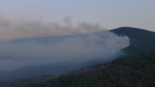 Kaz Dağları'ndaki yangın sürüyor