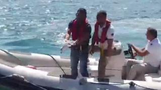 Yaralı martıyı botla açılan vatandaşlar kurtardı