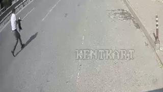 Otobüsü kenara çekti, yolda gördüğü yavru köpeği kurtardı