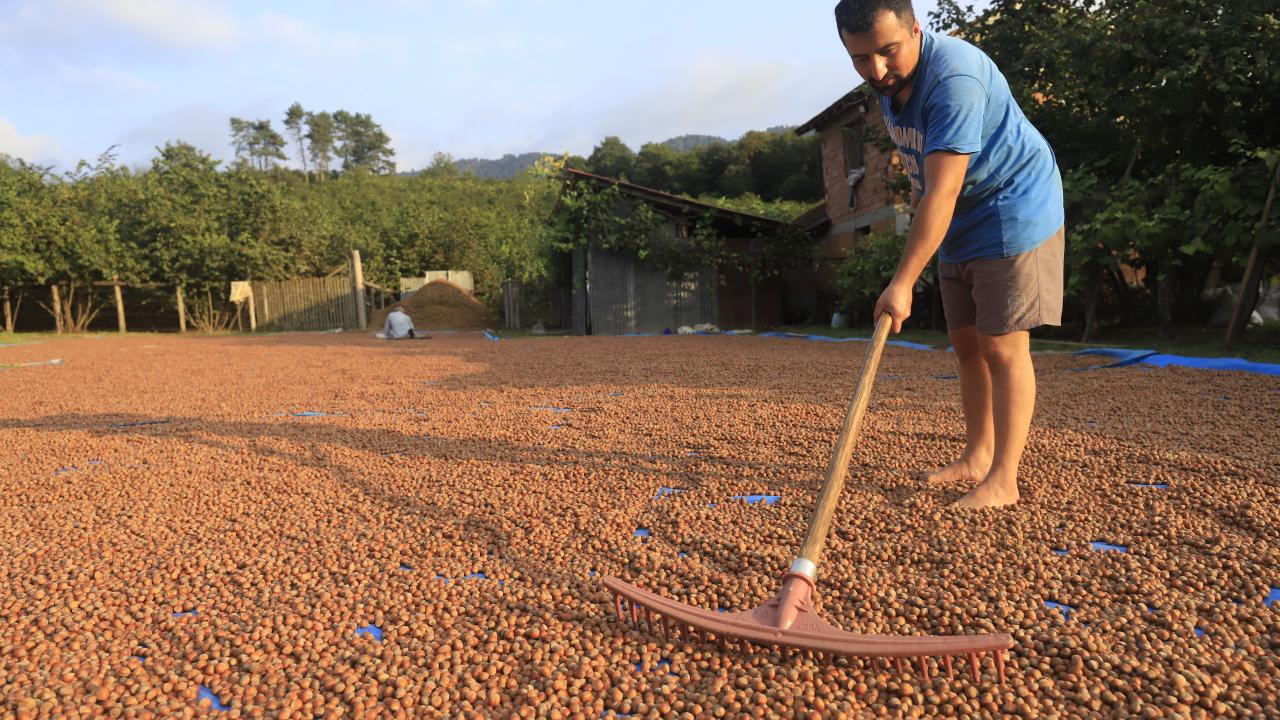 Asan, Toprak Mahsulleri Ofisinin fındık alacağını duyurmasının üretici adına sevindirici olduğunu dile getirerek