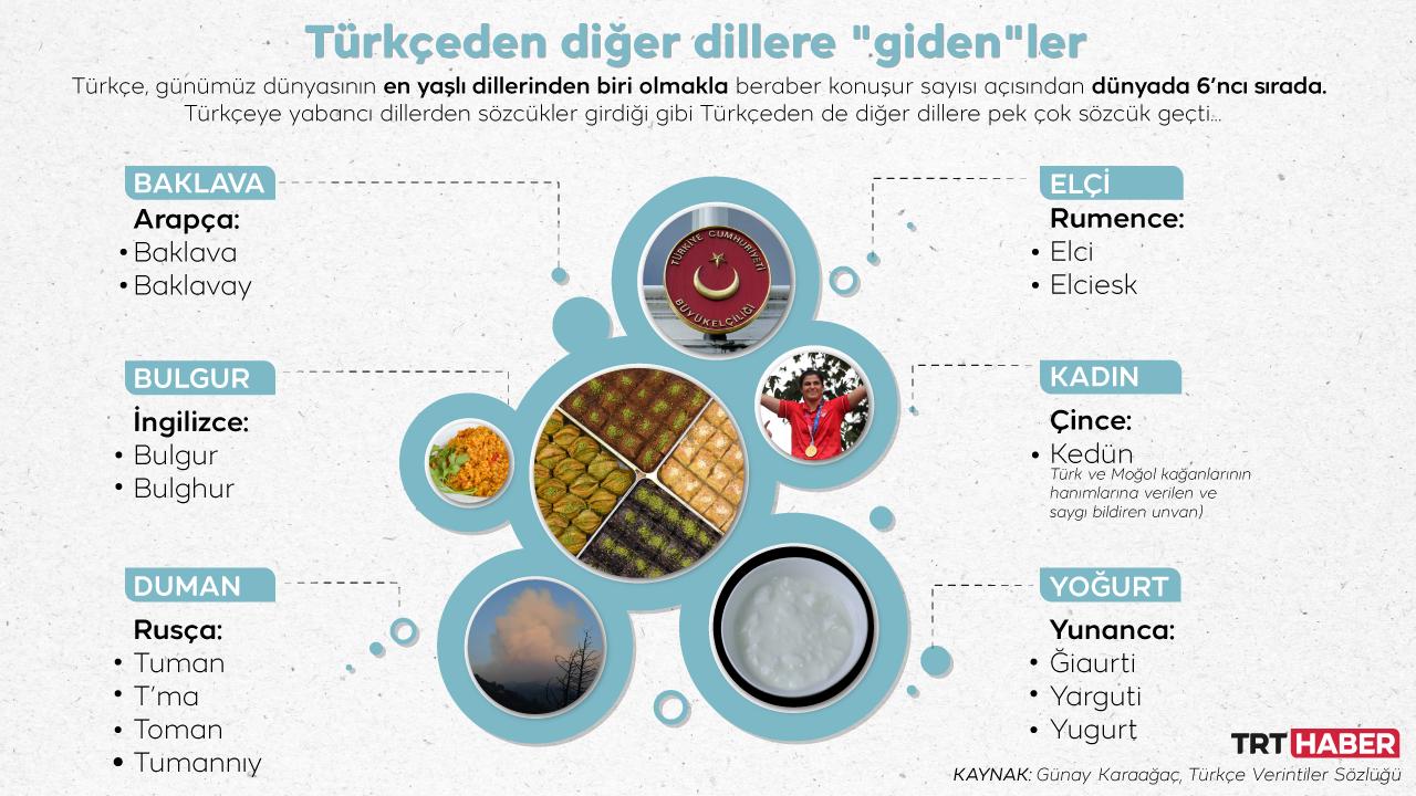 Türkçeden diğer dillere "giden"ler