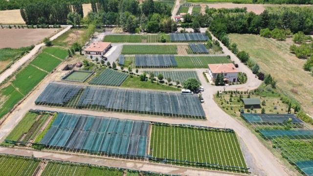 Yeşil vatan için 273 milyon fidan üretildi