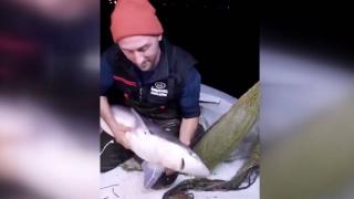 Balıkçının ağına takılan köpek balığına söyledikleri gülümsetti