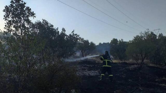 Mardinde ormanlık alanda çıkan yangın söndürüldü