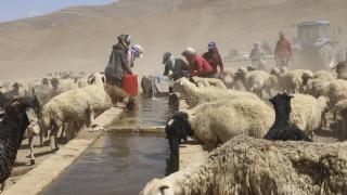 Yaylaya ulaşan suyu halaylarla kutladılar