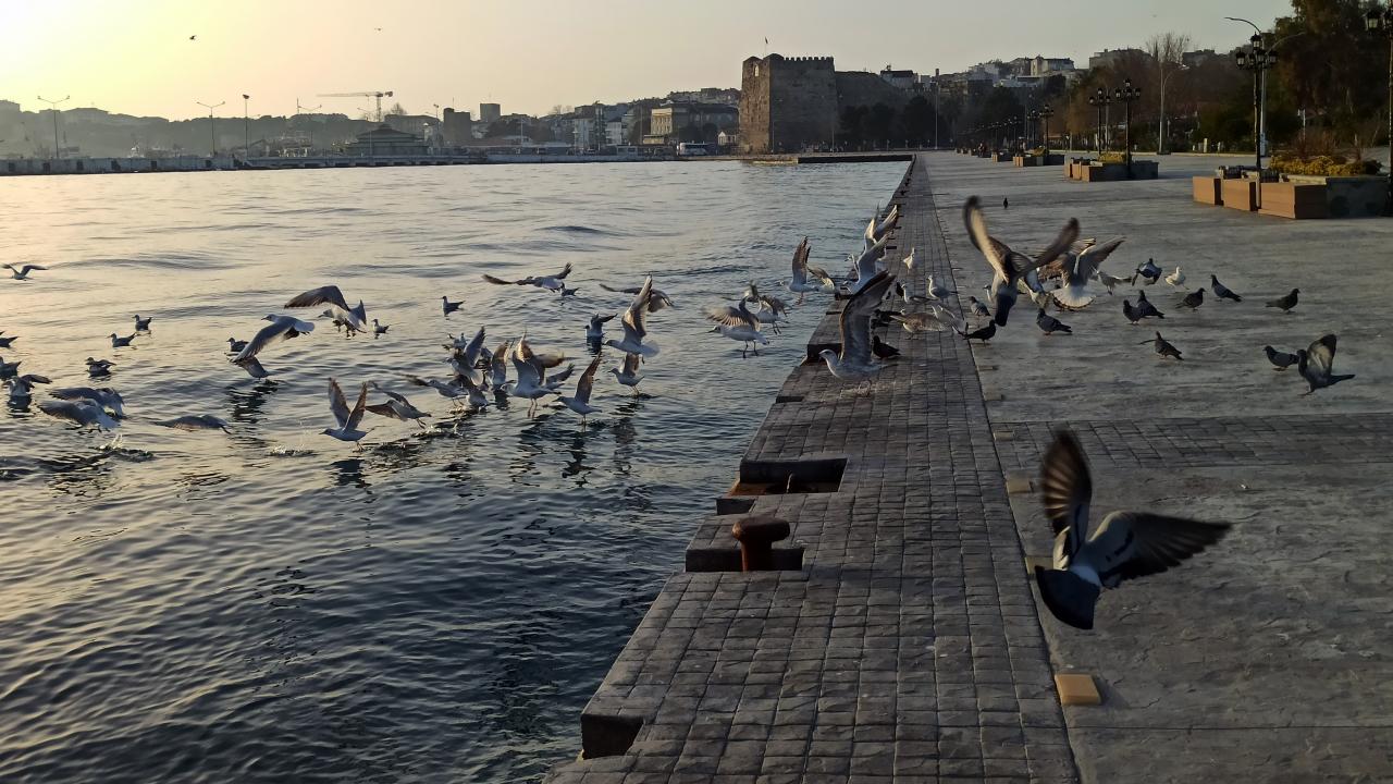 Sinop - 132,59