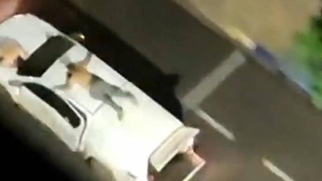 Banka soyan silahlı çete, rehineleri arabaya bağlayarak kalkan yaptı